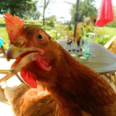 Chez Daisy * Montbron