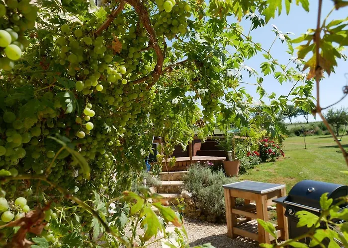 Chez Daisy Hébergement de vacances