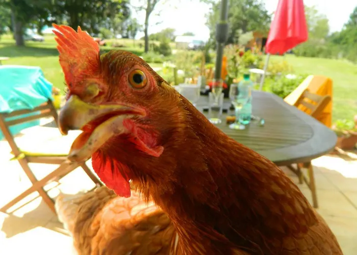 Chez Daisy * Montbron